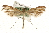  ( - MM10083)  @11 [ ] CreativeCommons - Attribution (2010) Unspecified Centre for Biodiversity Genomics