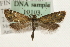  ( - MM10103)  @14 [ ] CreativeCommons - Attribution (2010) Unspecified Centre for Biodiversity Genomics
