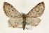  ( - MM10109)  @14 [ ] CreativeCommons - Attribution (2010) Unspecified Centre for Biodiversity Genomics