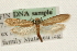  ( - MM10139)  @14 [ ] CreativeCommons - Attribution (2010) Unspecified Centre for Biodiversity Genomics