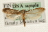  ( - MM10140)  @14 [ ] CreativeCommons - Attribution (2010) Unspecified Centre for Biodiversity Genomics