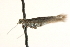  ( - MM10149)  @11 [ ] CreativeCommons - Attribution (2010) Unspecified Centre for Biodiversity Genomics