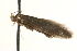  ( - MM10151)  @13 [ ] CreativeCommons - Attribution (2010) Unspecified Centre for Biodiversity Genomics