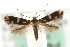  ( - MM10431)  @15 [ ] CreativeCommons - Attribution (2010) Unspecified Centre for Biodiversity Genomics