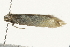  ( - MM08055)  @12 [ ] CreativeCommons - Attribution (2010) Unspecified Centre for Biodiversity Genomics