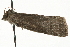  ( - MM08165)  @12 [ ] CreativeCommons - Attribution (2010) Unspecified Centre for Biodiversity Genomics