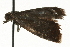 ( - MM08349)  @12 [ ] CreativeCommons - Attribution (2010) Unspecified Centre for Biodiversity Genomics
