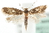  ( - MM08511)  @14 [ ] CreativeCommons - Attribution (2010) Unspecified Centre for Biodiversity Genomics
