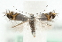  ( - MM08725)  @11 [ ] CreativeCommons - Attribution (2010) Unspecified Centre for Biodiversity Genomics