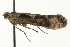  ( - MM08909)  @12 [ ] CreativeCommons - Attribution (2010) Unspecified Centre for Biodiversity Genomics