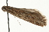  ( - MM08920)  @12 [ ] CreativeCommons - Attribution (2010) Unspecified Centre for Biodiversity Genomics