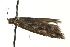  ( - MM09008)  @12 [ ] CreativeCommons - Attribution (2010) Unspecified Centre for Biodiversity Genomics