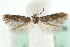  ( - MM08630)  @12 [ ] CreativeCommons - Attribution (2010) Unspecified Centre for Biodiversity Genomics