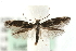  ( - MM08636)  @14 [ ] CreativeCommons - Attribution (2010) Unspecified Centre for Biodiversity Genomics