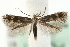  ( - MM08637)  @14 [ ] CreativeCommons - Attribution (2010) Unspecified Centre for Biodiversity Genomics