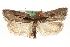  ( - MM10283)  @15 [ ] CreativeCommons - Attribution (2010) Unspecified Centre for Biodiversity Genomics