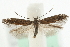  ( - MM10325)  @13 [ ] CreativeCommons - Attribution (2010) Unspecified Centre for Biodiversity Genomics