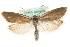 ( - MM10348)  @15 [ ] CreativeCommons - Attribution (2010) Unspecified Centre for Biodiversity Genomics