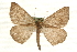  ( - MM10486)  @13 [ ] CreativeCommons - Attribution (2010) Unspecified Centre for Biodiversity Genomics