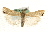  ( - MM10544)  @14 [ ] CreativeCommons - Attribution (2010) Unspecified Centre for Biodiversity Genomics