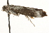  ( - MM11965)  @12 [ ] CreativeCommons - Attribution (2010) Unspecified Centre for Biodiversity Genomics