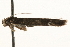  ( - MM13562)  @12 [ ] CreativeCommons - Attribution (2010) Unspecified Centre for Biodiversity Genomics