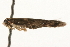  ( - MM13563)  @12 [ ] CreativeCommons - Attribution (2010) Unspecified Centre for Biodiversity Genomics