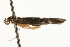  ( - MM13564)  @12 [ ] CreativeCommons - Attribution (2010) Unspecified Centre for Biodiversity Genomics