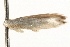  ( - MM13594)  @12 [ ] CreativeCommons - Attribution (2010) Unspecified Centre for Biodiversity Genomics