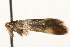  ( - MM13597)  @12 [ ] CreativeCommons - Attribution (2010) Unspecified Centre for Biodiversity Genomics