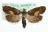  ( - MM11045)  @14 [ ] CreativeCommons - Attribution (2010) Unspecified Centre for Biodiversity Genomics
