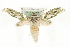  (Cucullia argentea - MM11071)  @15 [ ] CreativeCommons - Attribution (2010) Unspecified Centre for Biodiversity Genomics