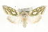  ( - MM11072)  @14 [ ] CreativeCommons - Attribution (2010) Unspecified Centre for Biodiversity Genomics