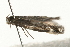  ( - MM12148)  @13 [ ] CreativeCommons - Attribution (2010) Unspecified Centre for Biodiversity Genomics