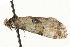  ( - MM13289)  @12 [ ] CreativeCommons - Attribution (2010) Unspecified Centre for Biodiversity Genomics