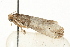  ( - MM13291)  @12 [ ] CreativeCommons - Attribution (2010) Unspecified Centre for Biodiversity Genomics