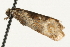  ( - MM13298)  @12 [ ] CreativeCommons - Attribution (2010) Unspecified Centre for Biodiversity Genomics