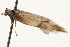  ( - MM13312)  @12 [ ] CreativeCommons - Attribution (2010) Unspecified Centre for Biodiversity Genomics