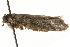  ( - MM13372)  @12 [ ] CreativeCommons - Attribution (2010) Unspecified Centre for Biodiversity Genomics