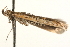  ( - MM13634)  @12 [ ] CreativeCommons - Attribution (2010) Unspecified Centre for Biodiversity Genomics
