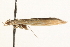  ( - MM13658)  @11 [ ] CreativeCommons - Attribution (2010) Unspecified Centre for Biodiversity Genomics