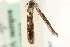 ( - MM13733)  @12 [ ] CreativeCommons - Attribution (2010) Unspecified Centre for Biodiversity Genomics