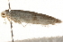 ( - MM13745)  @12 [ ] CreativeCommons - Attribution (2010) Unspecified Centre for Biodiversity Genomics