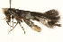  ( - MM14235)  @12 [ ] CreativeCommons - Attribution (2010) Unspecified Centre for Biodiversity Genomics