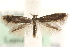  ( - MM14237)  @14 [ ] CreativeCommons - Attribution (2010) Unspecified Centre for Biodiversity Genomics