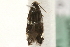  ( - MM14270)  @12 [ ] CreativeCommons - Attribution (2010) Unspecified Centre for Biodiversity Genomics