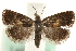  ( - MM14476)  @15 [ ] CreativeCommons - Attribution (2010) Unspecified Centre for Biodiversity Genomics