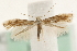  ( - MM14829)  @14 [ ] CreativeCommons - Attribution (2010) Unspecified Centre for Biodiversity Genomics