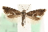  ( - MM15545)  @13 [ ] CreativeCommons - Attribution (2010) Unspecified Centre for Biodiversity Genomics