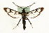  ( - MM15758)  @15 [ ] CreativeCommons - Attribution (2010) Unspecified Centre for Biodiversity Genomics